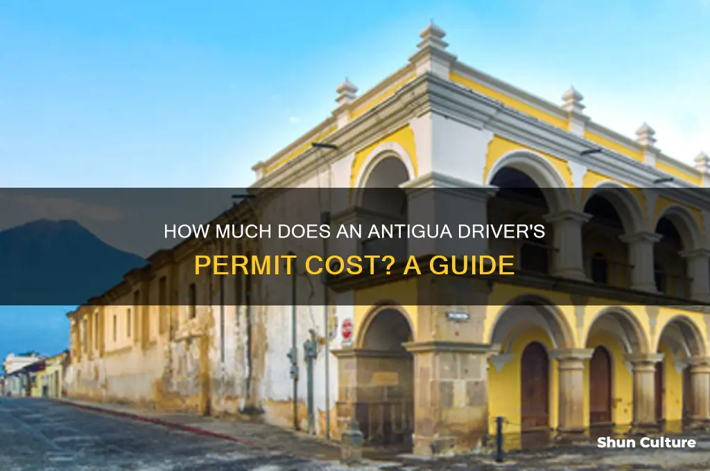 what is the fee to get a antigua drivers permit