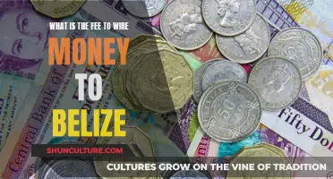 Sending Money to Belize: Understanding Wire Transfer Fees