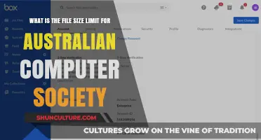 ACS File Size Limit: Know the Restrictions