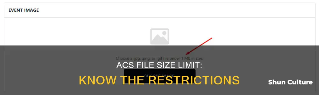 what is the file size limit for australian computer society
