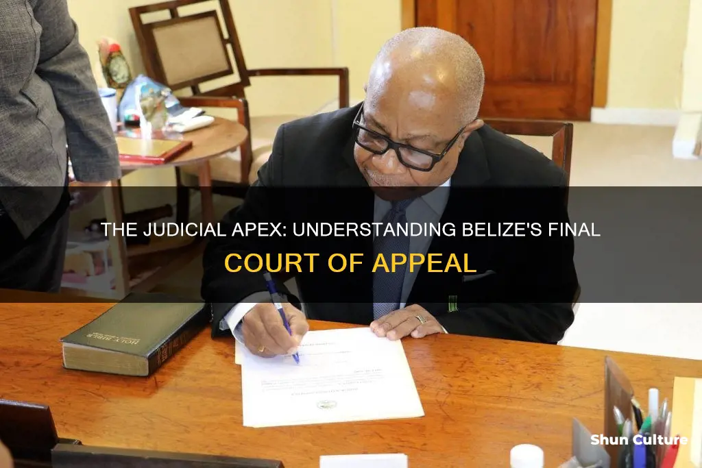 what is the final court of appeal in belize