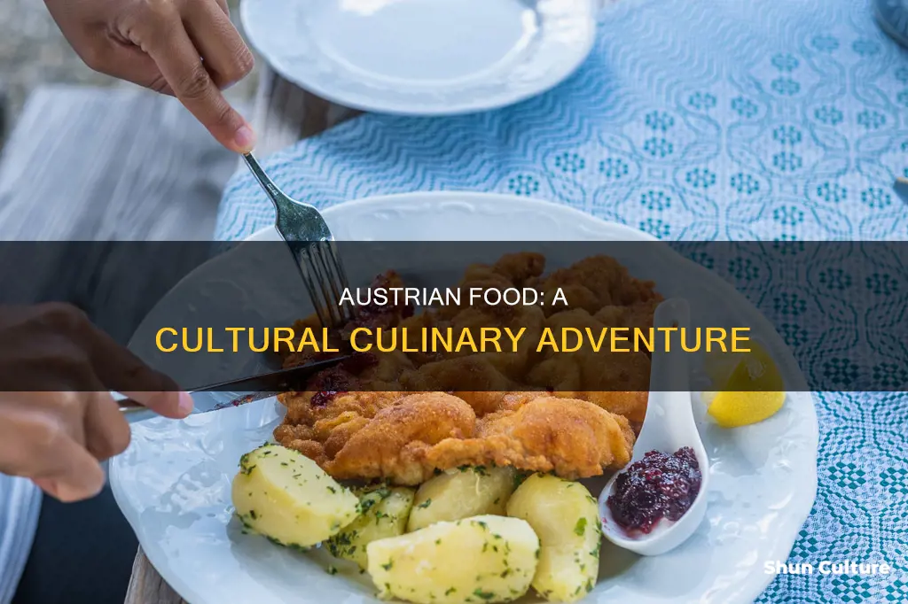 what is the food like in austria
