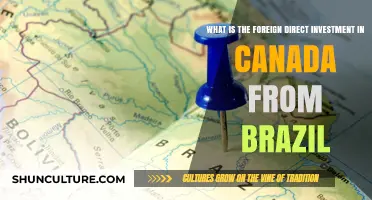 Brazil's FDI in Canada: Trends, Impact, and Economic Insights