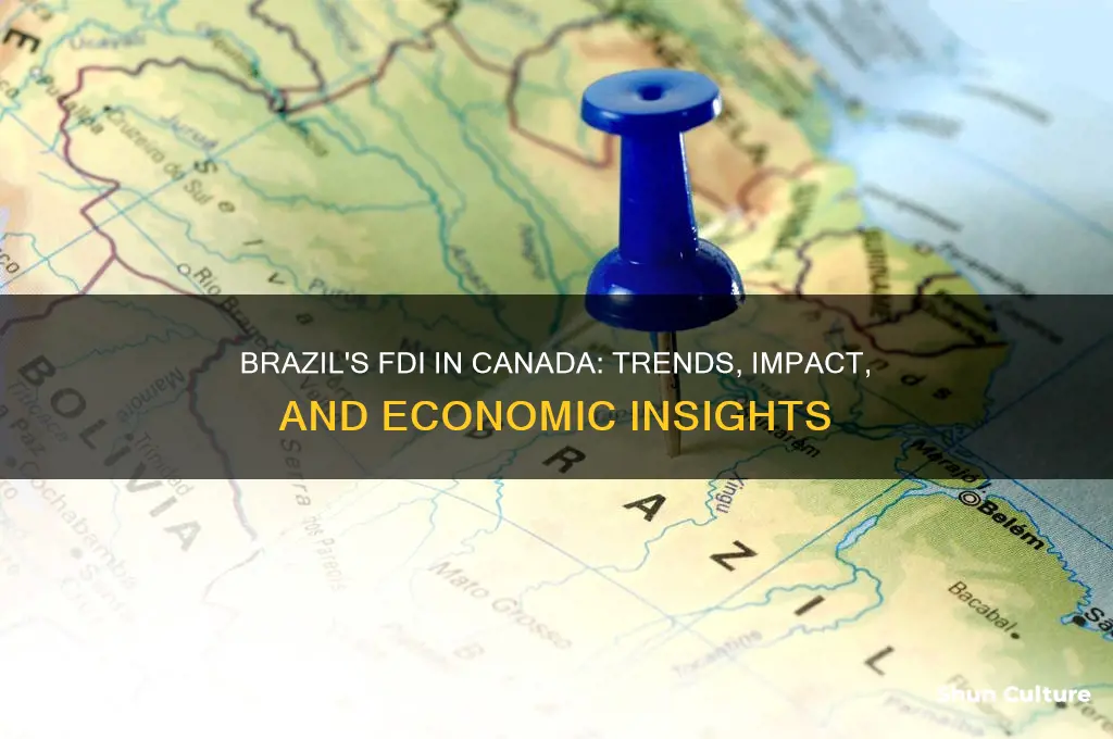 what is the foreign direct investment in canada from brazil