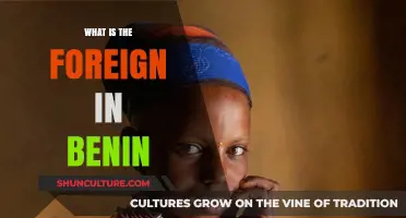 Exploring the Foreign Influence in Benin: A Cultural Journey