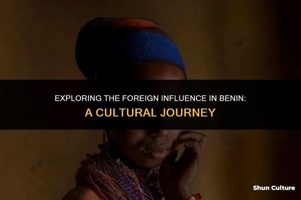 what is the foreign in benin