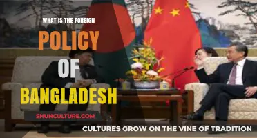 Understanding Bangladesh's Foreign Policy: Principles, Priorities, and Global Engagement