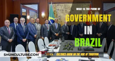 Understanding Brazil's Government: A Federal Presidential Republic Explained