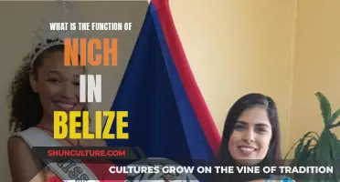 The Secret Life of Belize's NICH: Unveiling Cultural Heritage