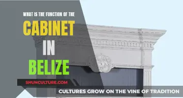 The Cabinet's Role: Advising Belize's Executive Branch