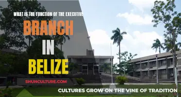 The Executive Branch of Belize: Understanding its Role and Function