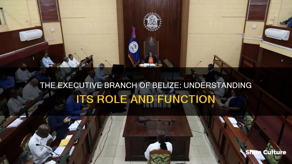 what is the function of the executive branch in belize