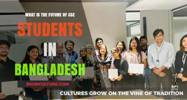 CSE Graduates in Bangladesh: Opportunities, Challenges, and Future Prospects