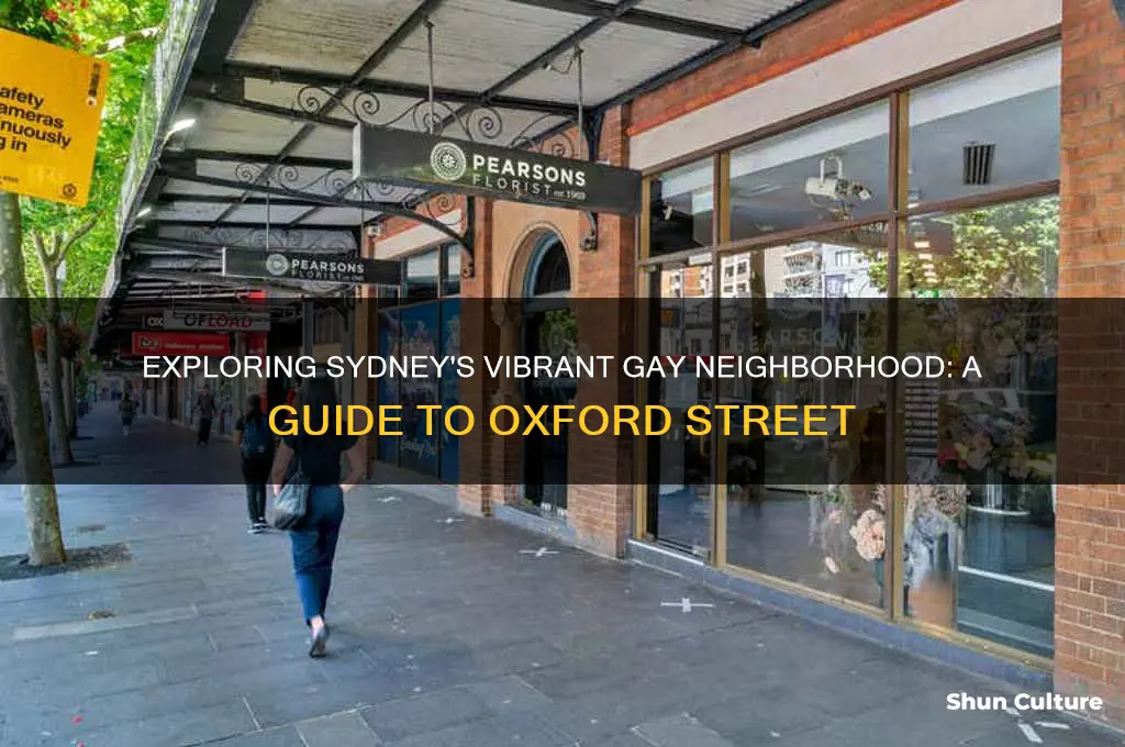 what is the gay area of sydney australia