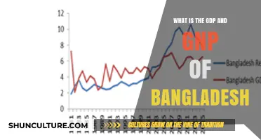 Understanding Bangladesh's Economic Growth: GDP and GNP Explained