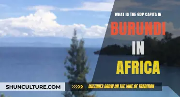 Exploring Burundi's Economic Landscape: A Closer Look at GDP per Capita