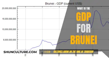 GDP of Brunei: A Comprehensive Overview