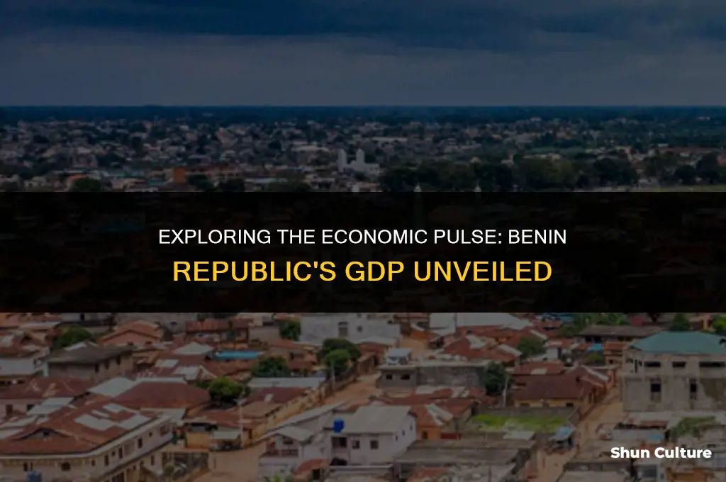 what is the gdp of benin republic