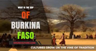 Exploring Burkina Faso's Economic Landscape: A GDP Overview