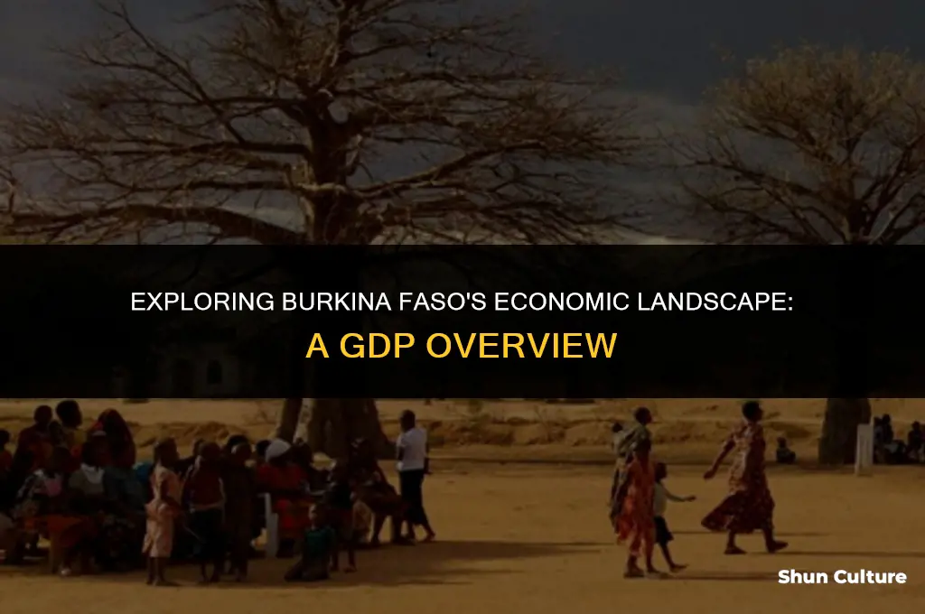 what is the gdp of burkina faso