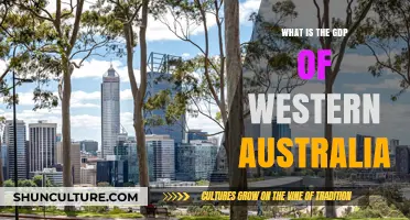 WA's Economic Powerhouse: GDP Insights