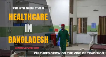 Exploring Bangladesh's Healthcare System: Challenges, Progress, and Future Prospects