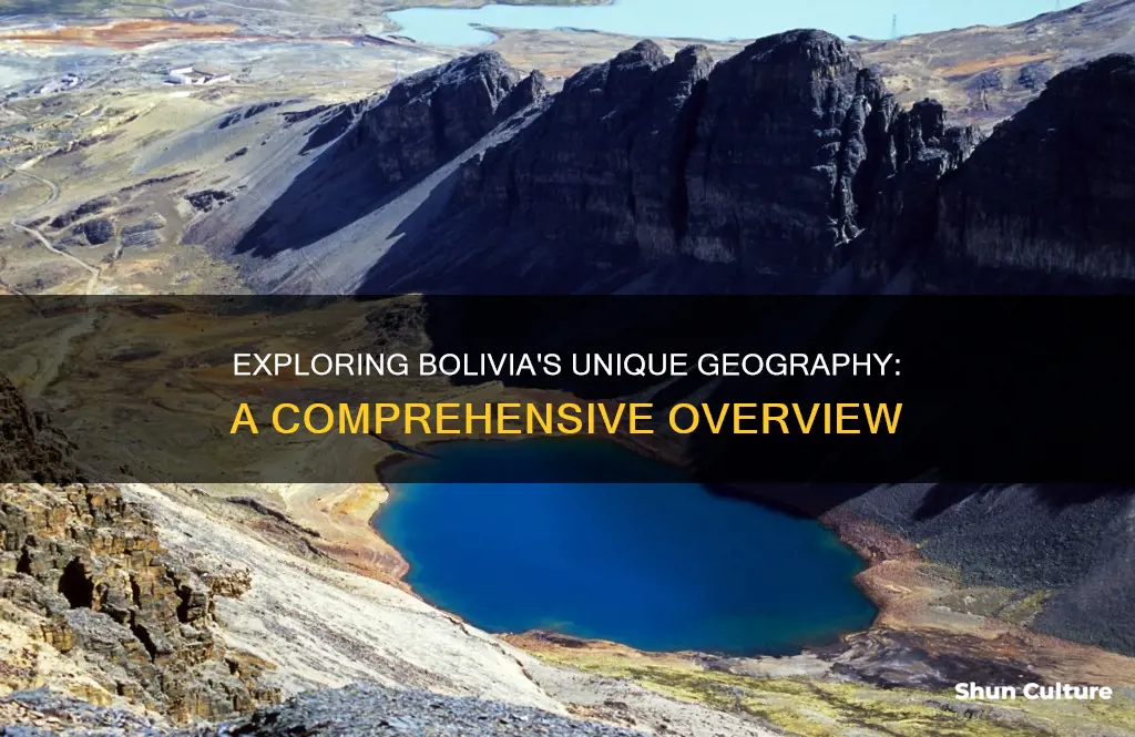 what is the geograph in bolivia