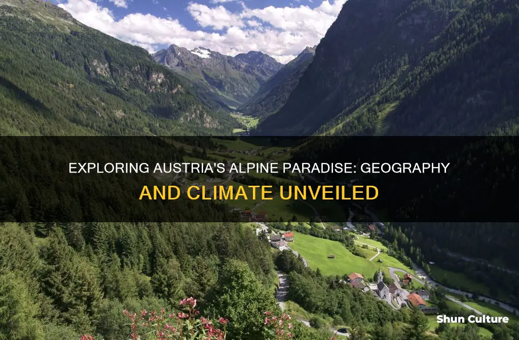 what is the geography and climate of austria