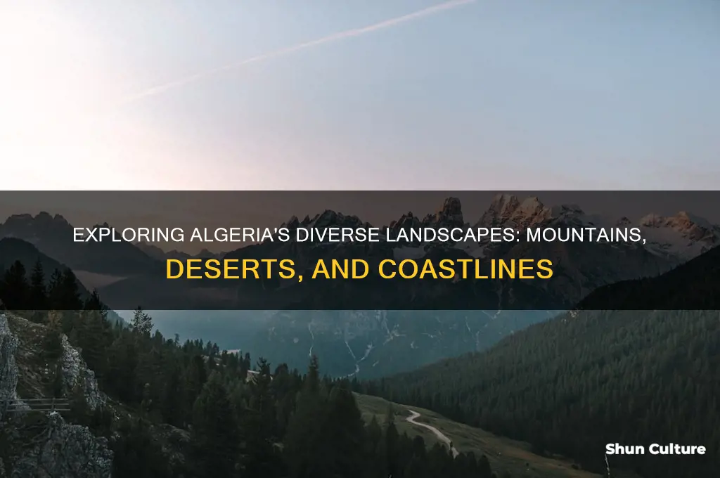 what is the geography like in algeria