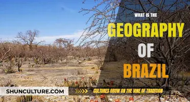 Exploring Brazil's Diverse Landscapes: A Geography Overview