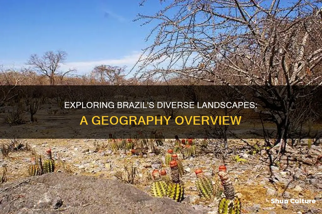 what is the geography of brazil