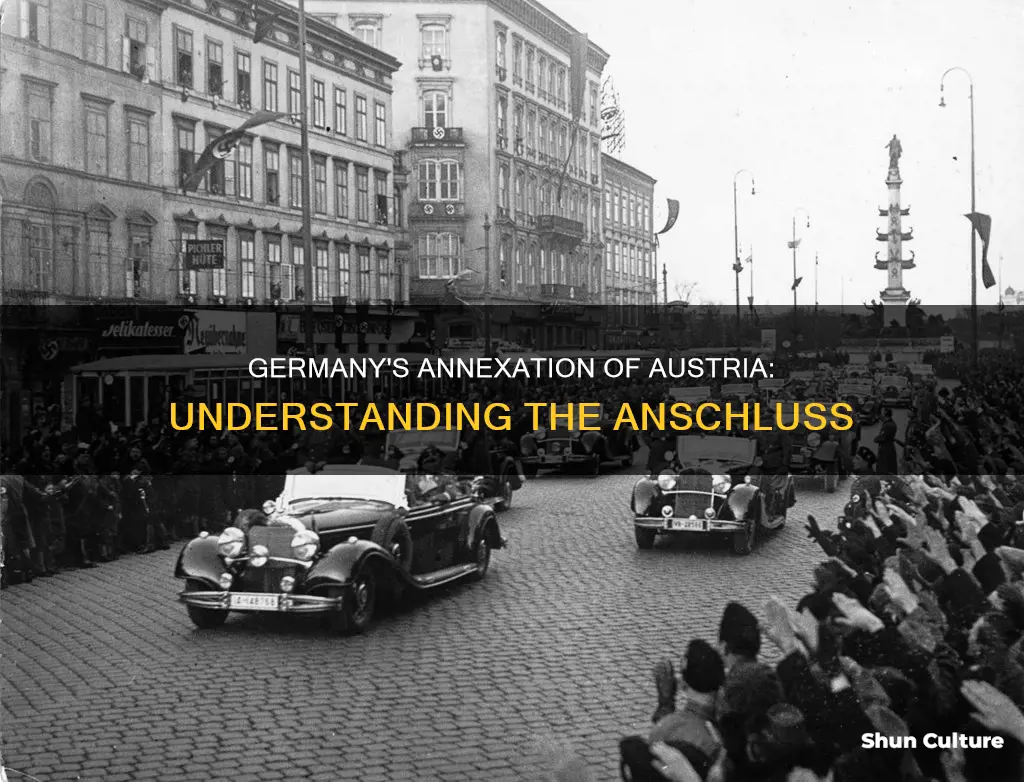what is the german anschluss with austria