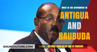 Understanding Antigua and Barbuda's Government Structure and Political System