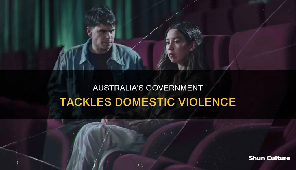 what is the government doing about domestic violence australia