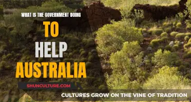 Australia's Future: Government Initiatives and Support