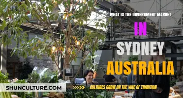 Exploring Sydney's Government Market: Opportunities and Insights for Businesses