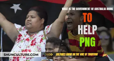 Australia's Support for PNG: Current Initiatives and Future Plans