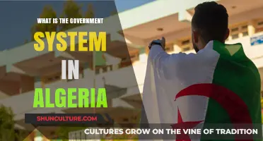 Understanding Algeria's Government: A Comprehensive Guide to Its Political System
