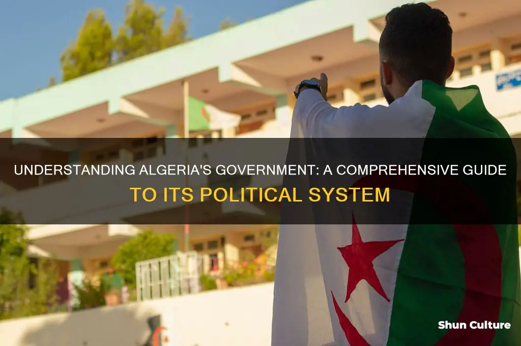 what is the government system in algeria