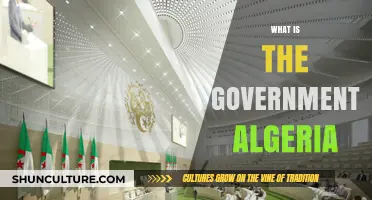 Understanding Algeria's Government: Structure, Powers, and Political System Explained