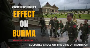 Exploring the Impact of Government Policies on Burma's Socio-Economic Landscape