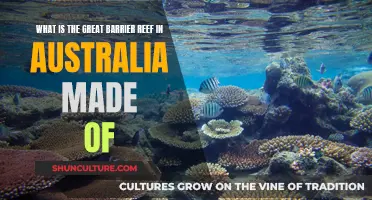 The Great Barrier Reef: A Coral Wonderland
