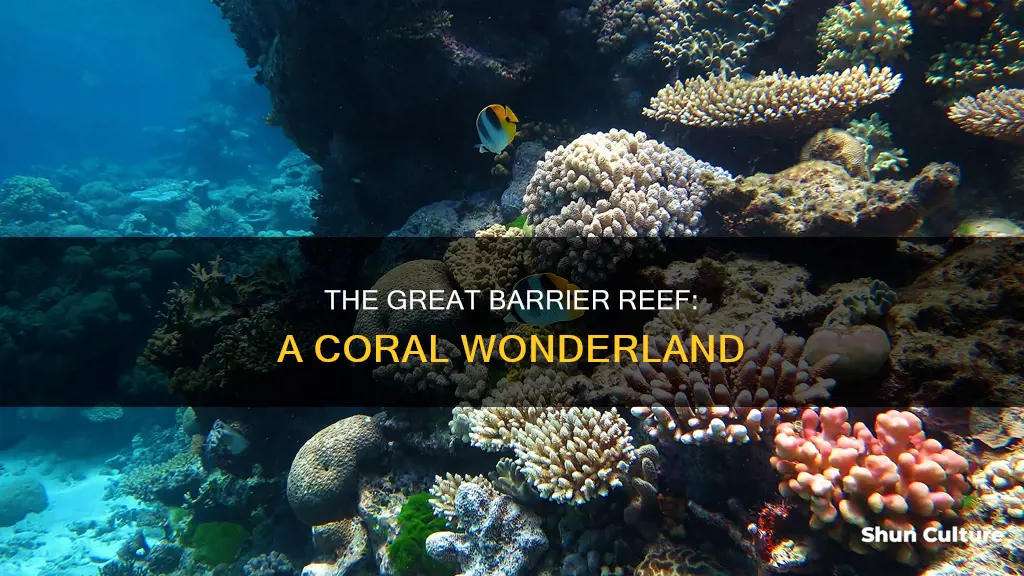 what is the great barrier reef in australia made of