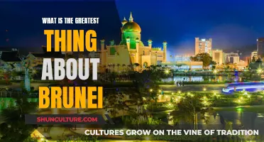 The Best of Brunei: A Country's Greatest Charm