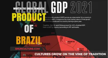 Understanding Brazil's Economic Power: A Look at Its Gross Domestic Product