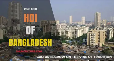 Exploring Bangladesh's HDI: Understanding Its Human Development Index