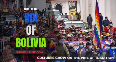 Exploring Bolivia's Human Development Index Rating