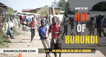 Exploring Burundi's Human Development Index: Challenges and Progress