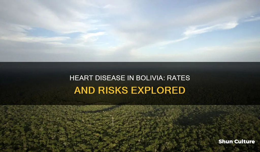 what is the heart diesease rate for bolivia