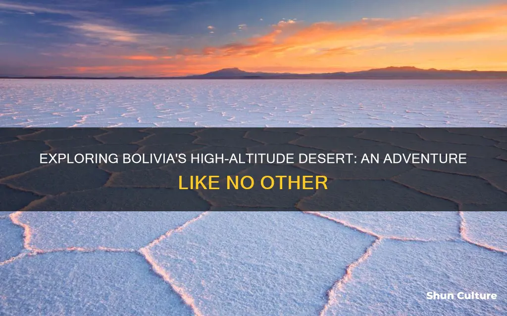 what is the highest desert in bolivia